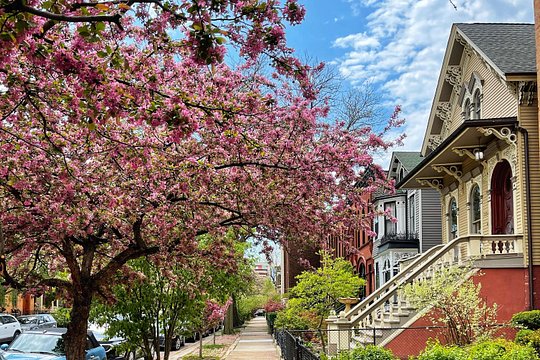 Tour image 5